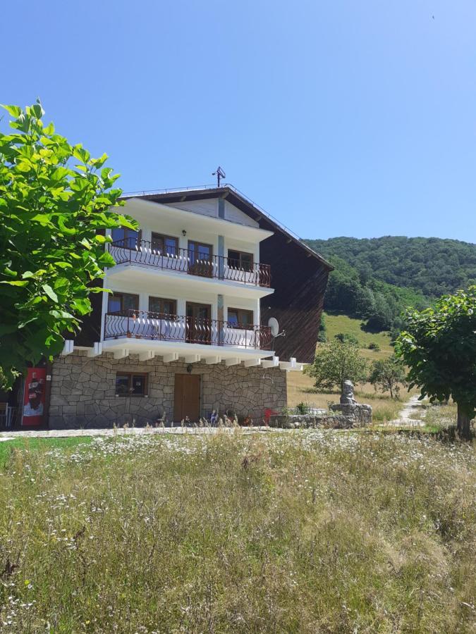 Pensiunea Costesti Εξωτερικό φωτογραφία