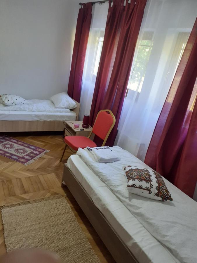 Pensiunea Costesti Εξωτερικό φωτογραφία