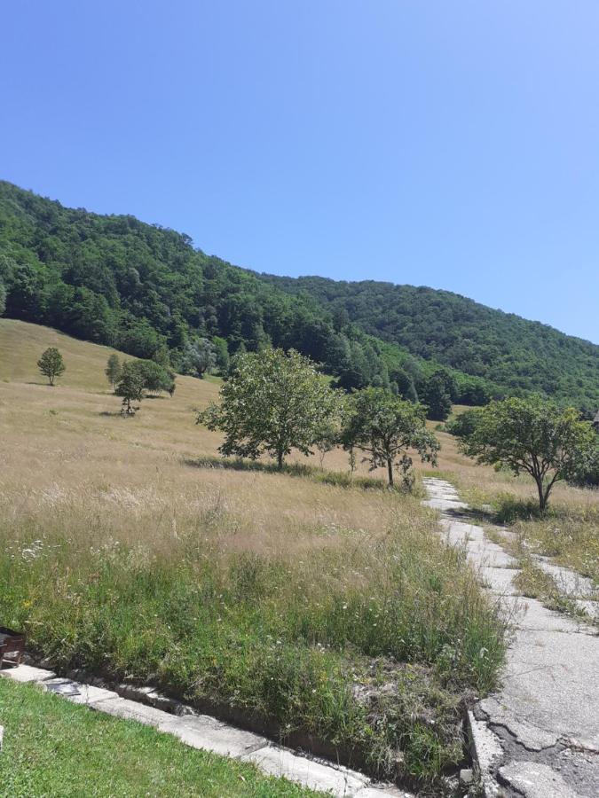 Pensiunea Costesti Εξωτερικό φωτογραφία