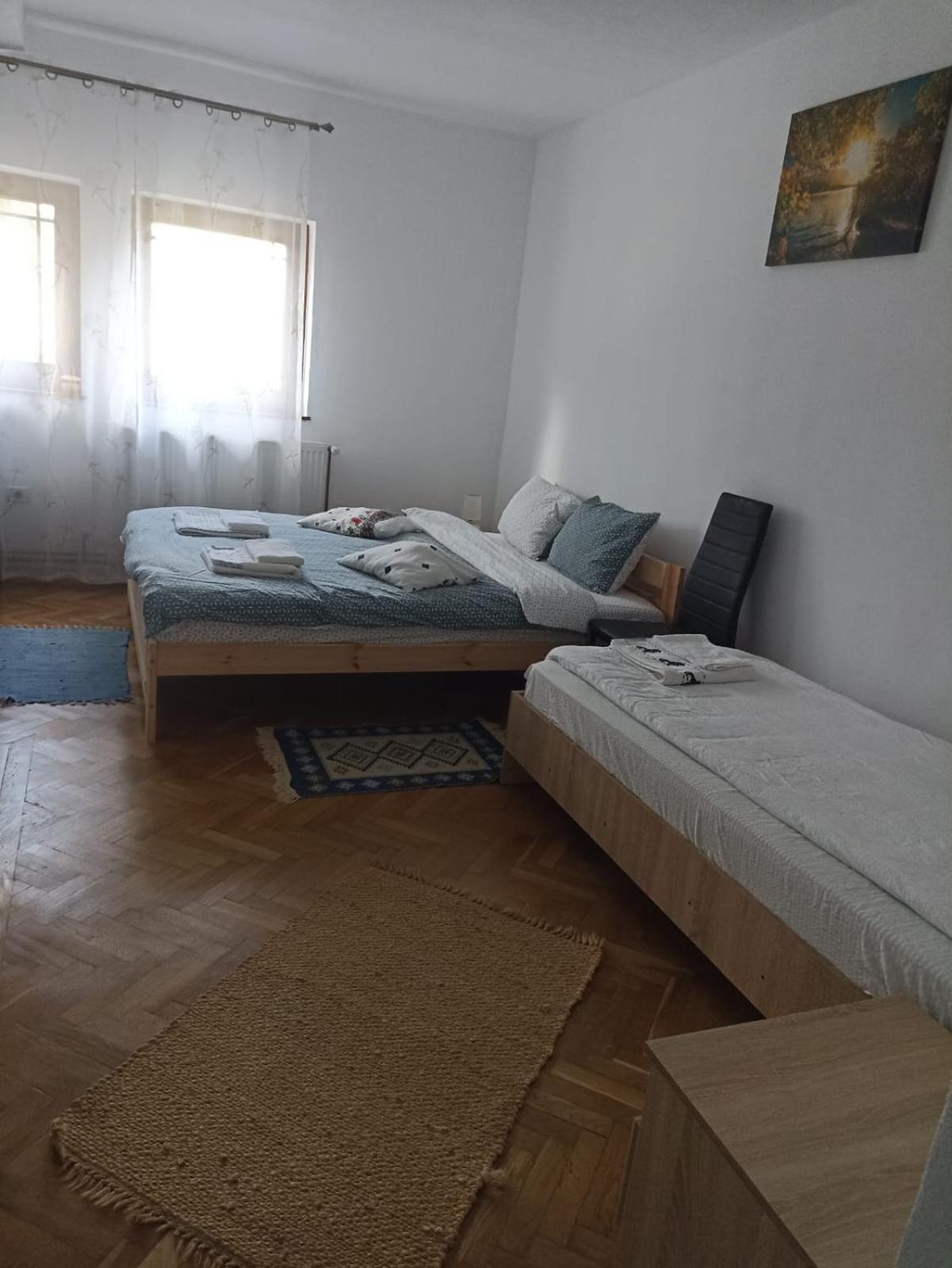 Pensiunea Costesti Εξωτερικό φωτογραφία